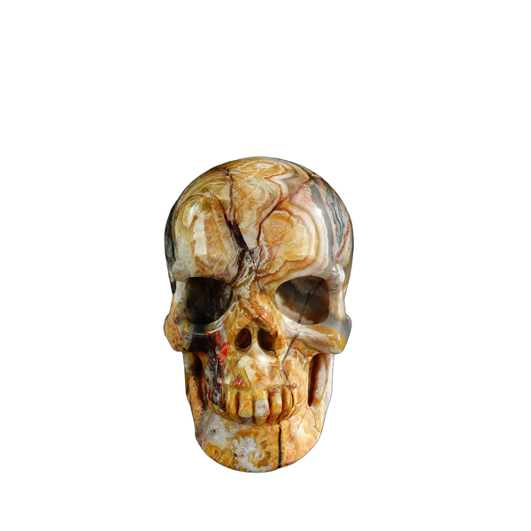 3.0" Red Crazy Lace Agate Crystal Skull Carving - Unique Piece #RC07