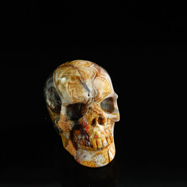 3.0" Red Crazy Lace Agate Crystal Skull Carving - Unique Piece #RC07 - alternate view