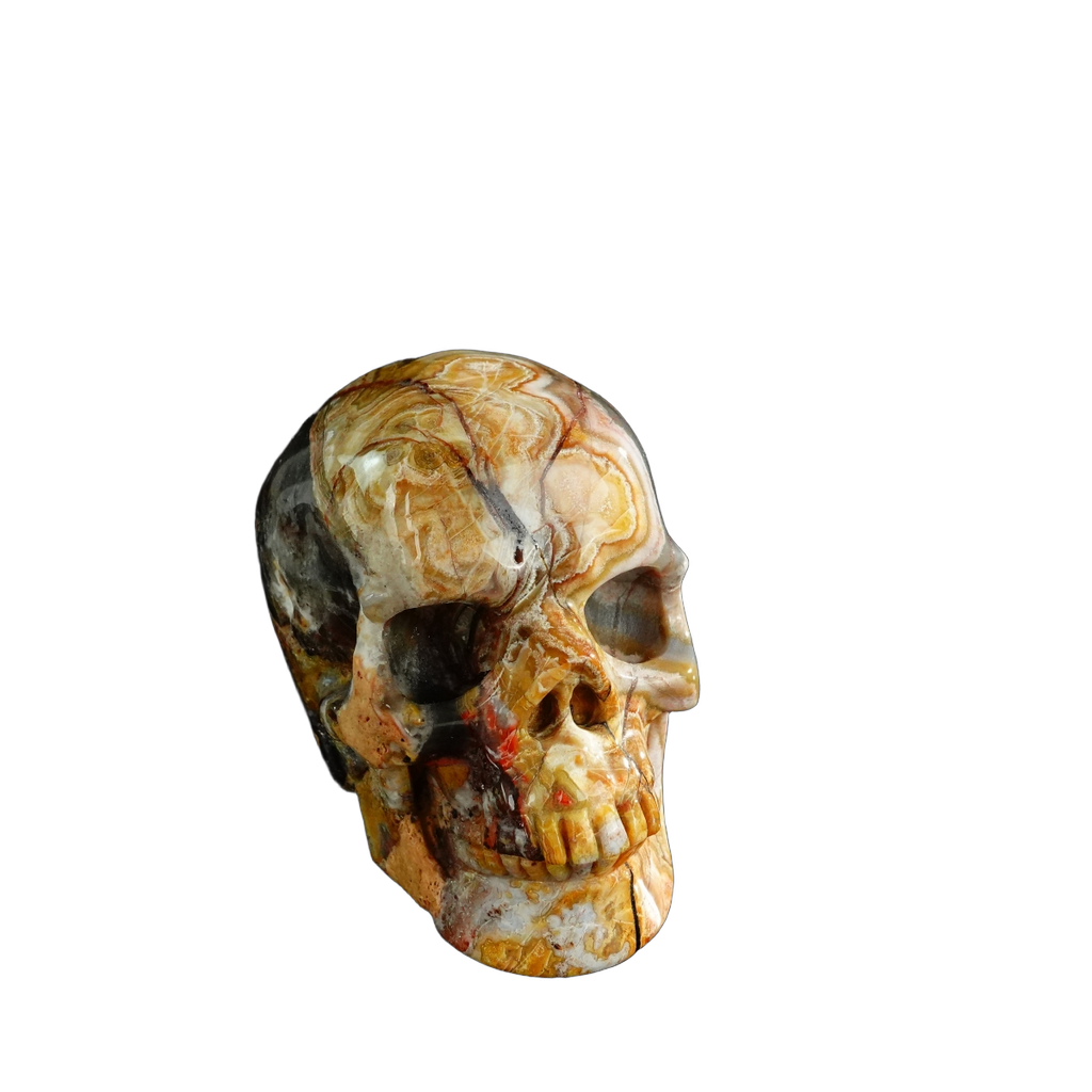 3.0" Red Crazy Lace Agate Crystal Skull Carving - Unique Piece #RC07