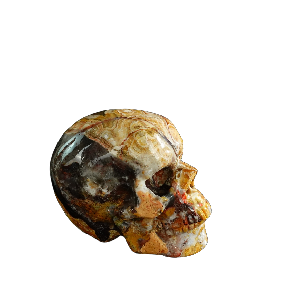 3.0" Red Crazy Lace Agate Crystal Skull Carving - Unique Piece #RC07
