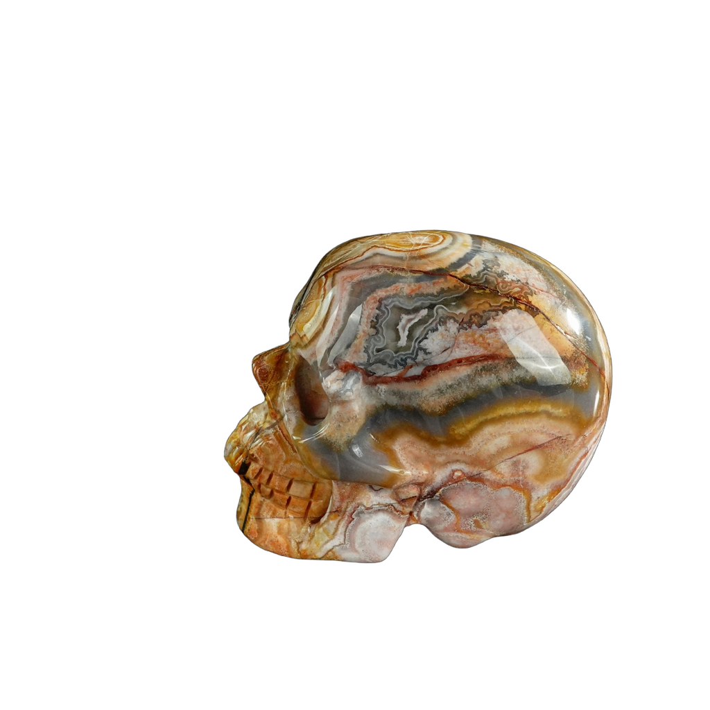 3.0" Red Crazy Lace Agate Crystal Skull Carving - Unique Piece #RC07