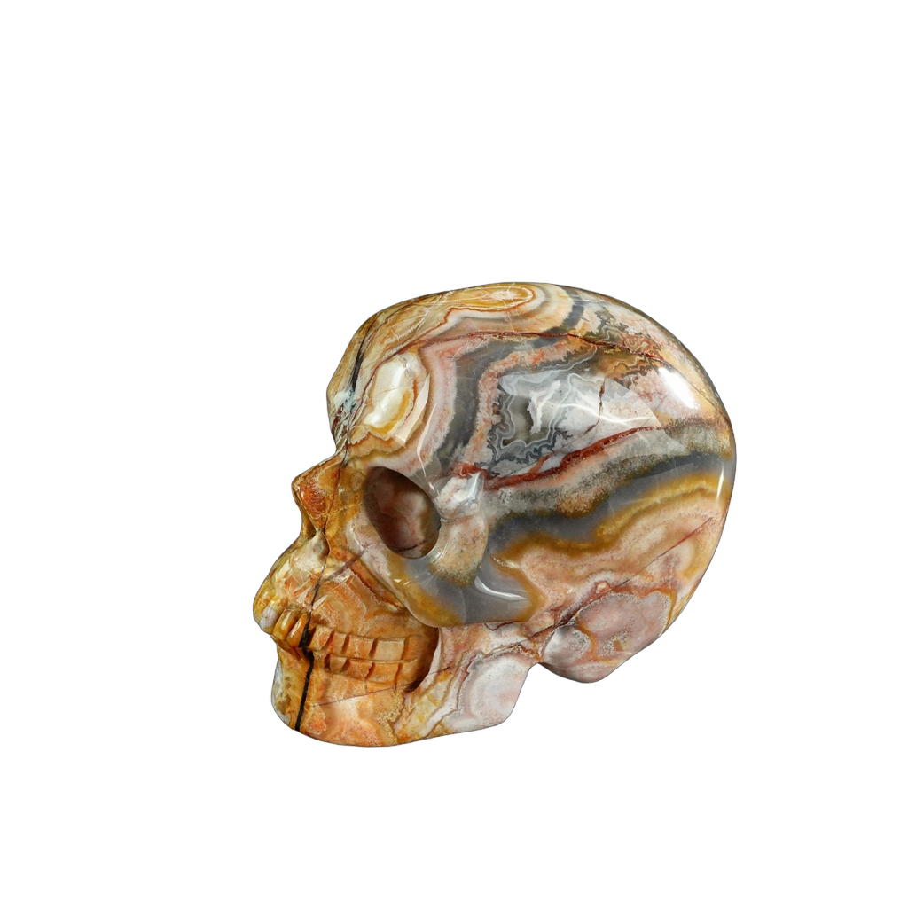 3.0" Red Crazy Lace Agate Crystal Skull Carving - Unique Piece #RC07
