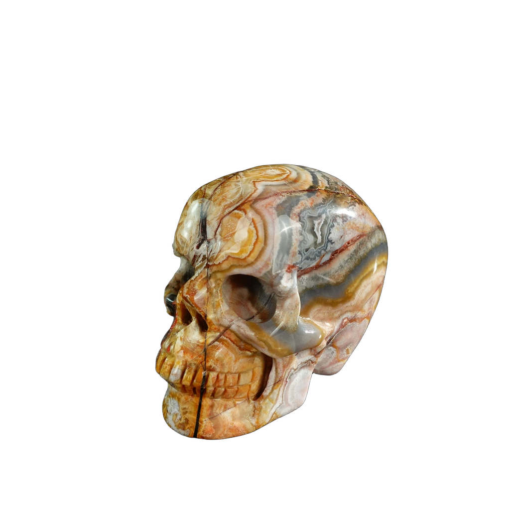 3.0" Red Crazy Lace Agate Crystal Skull Carving - Unique Piece #RC07