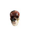 3.0" Red Crazy Lace Agate Crystal Skull Carving - Unique Piece #RC08