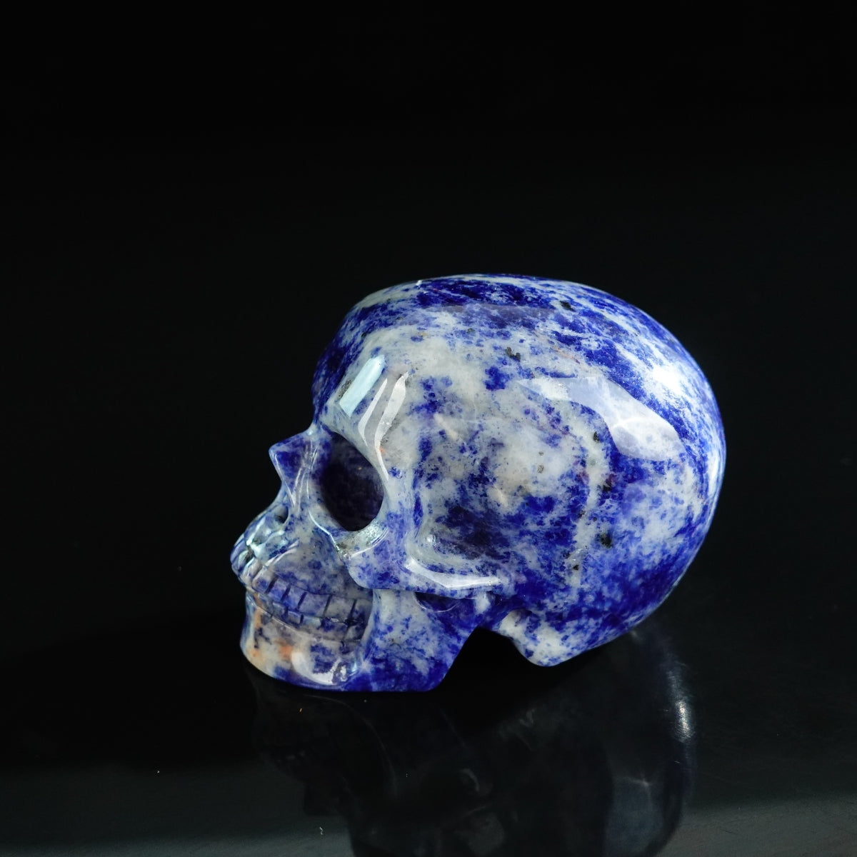 3.0" Sodalite Crystal Skull Carving - Unique Piece #SL01
