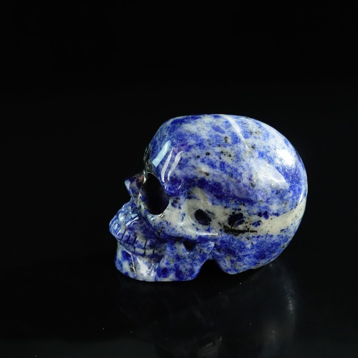 3.0" Sodalite Crystal Skull Carving - Unique Piece #SL08