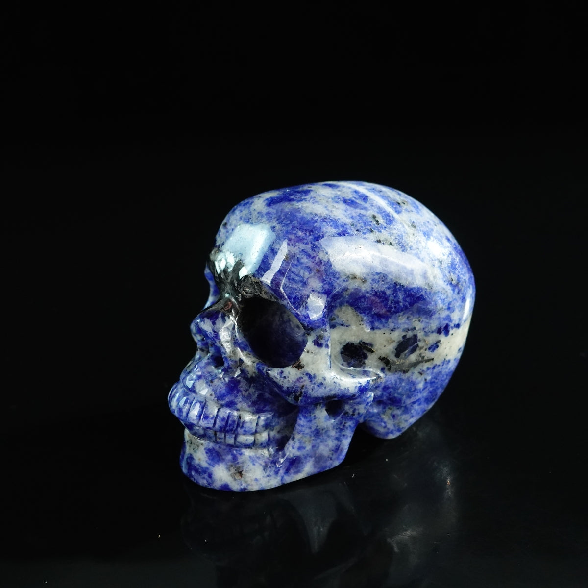 3.0" Sodalite Crystal Skull Carving - Unique Piece #SL08