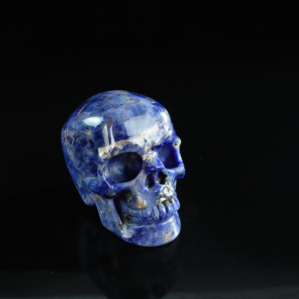 3.0" Sodalite Crystal Skull Carving - Unique Piece #SL13 - alternate view