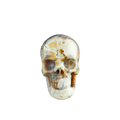 3.0" White Opal Crystal Skull Carving - Unique Piece #WO05