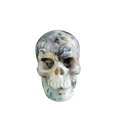 3.0" White Opal Crystal Skull Carving - Unique Piece #WO06