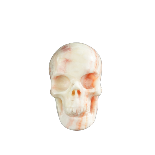 3.0" Zebra Jasper Crystal Skull Carving - Unique Piece #ZS01