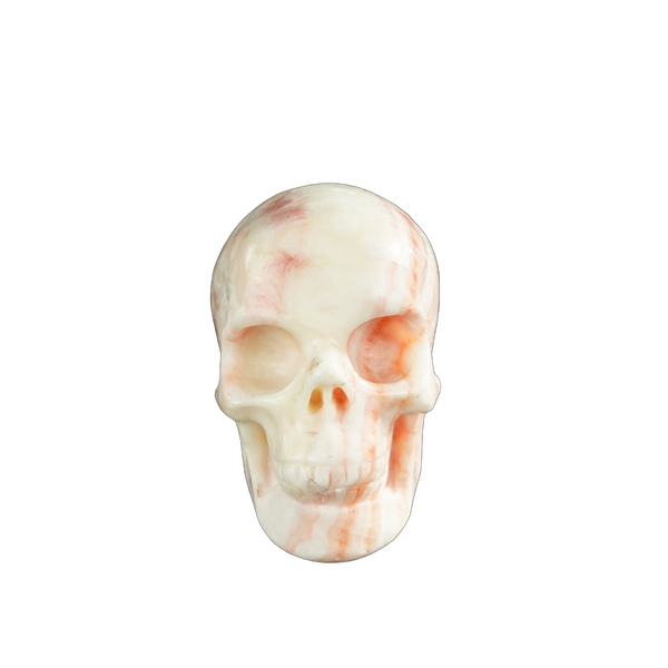 3.0" Zebra Jasper Crystal Skull Carving - Unique Piece #ZS01