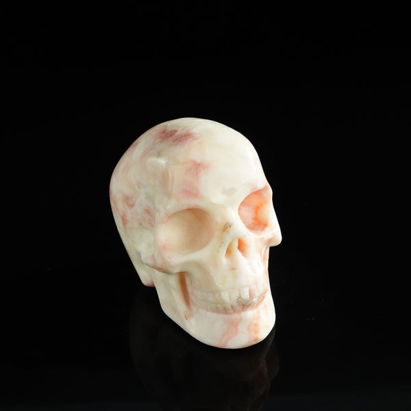 3.0" Zebra Jasper Crystal Skull Carving - Unique Piece #ZS01 - alternate view