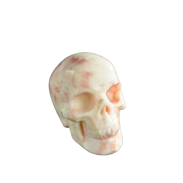 3.0" Zebra Jasper Crystal Skull Carving - Unique Piece #ZS01 - alternate view