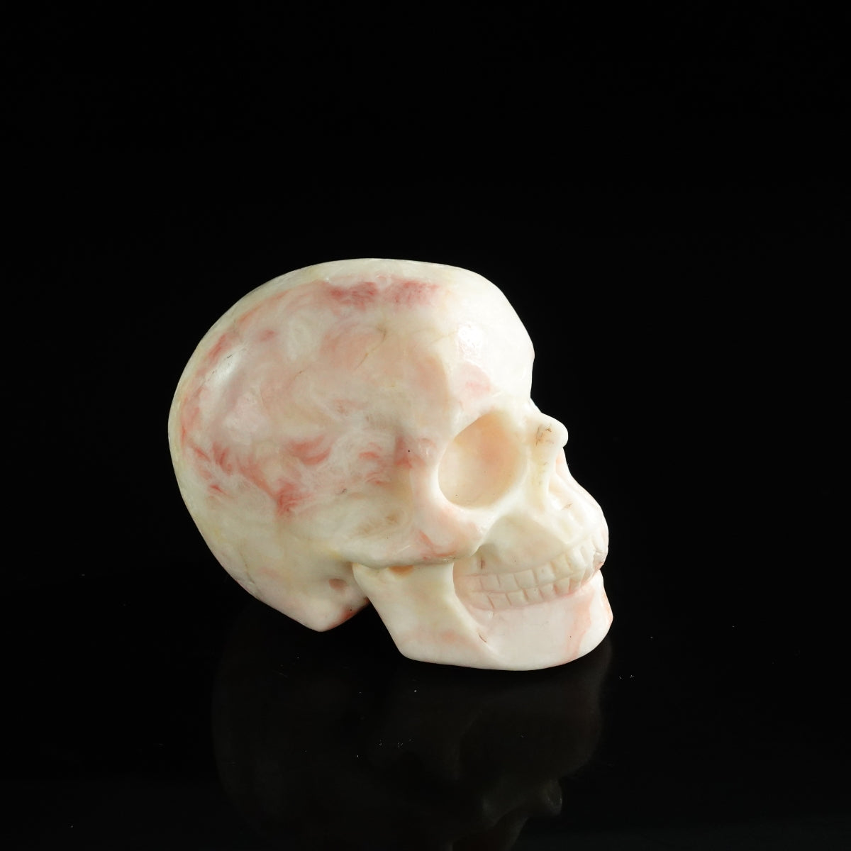 3.0" Zebra Jasper Crystal Skull Carving - Unique Piece #ZS01