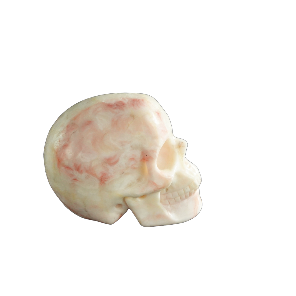 3.0" Zebra Jasper Crystal Skull Carving - Unique Piece #ZS01