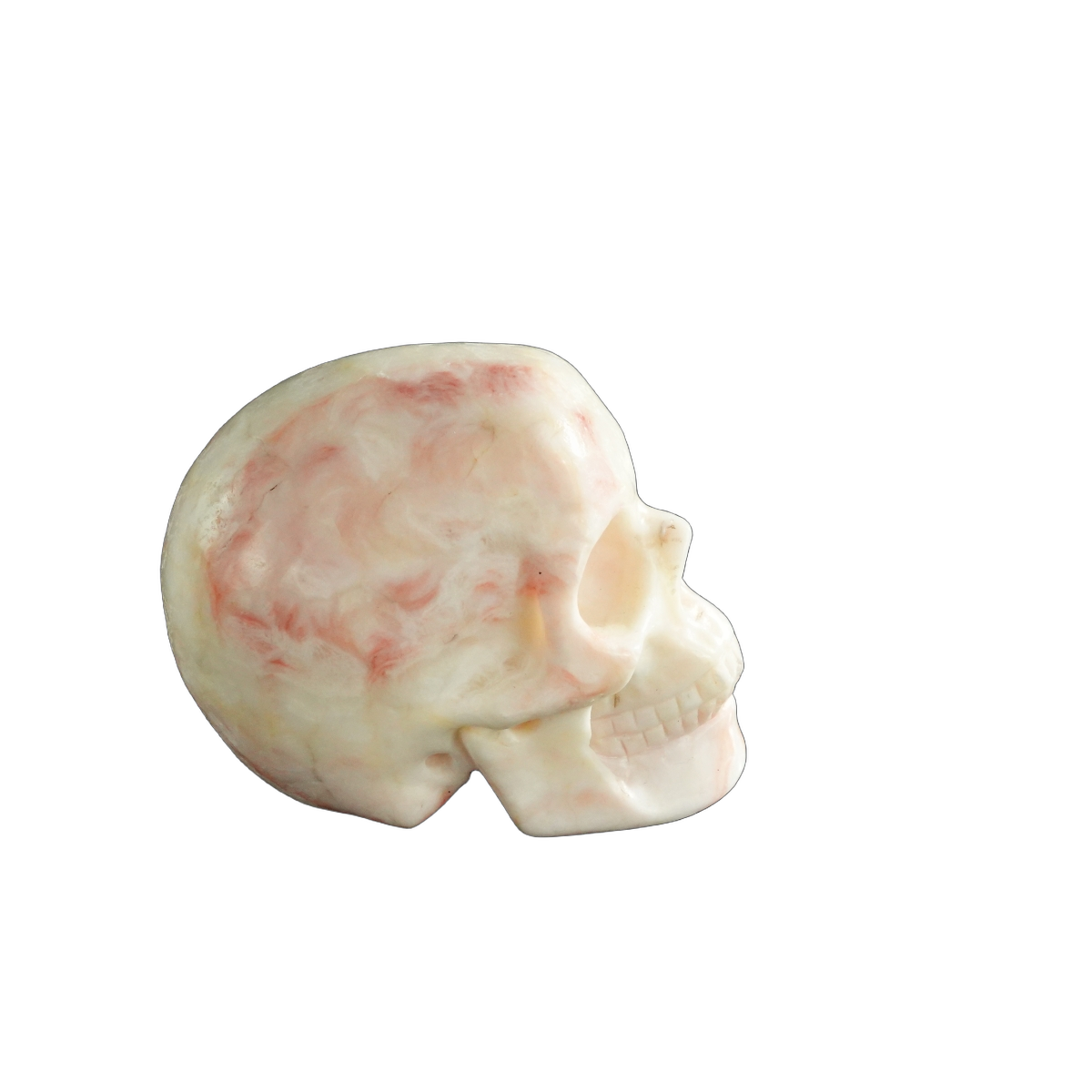3.0" Zebra Jasper Crystal Skull Carving - Unique Piece #ZS01