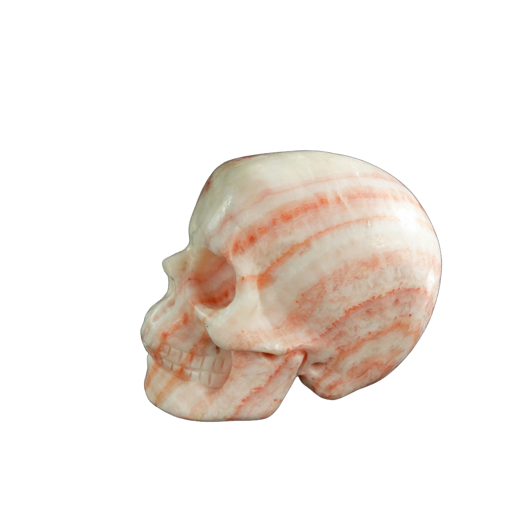 3.0" Zebra Jasper Crystal Skull Carving - Unique Piece #ZS01