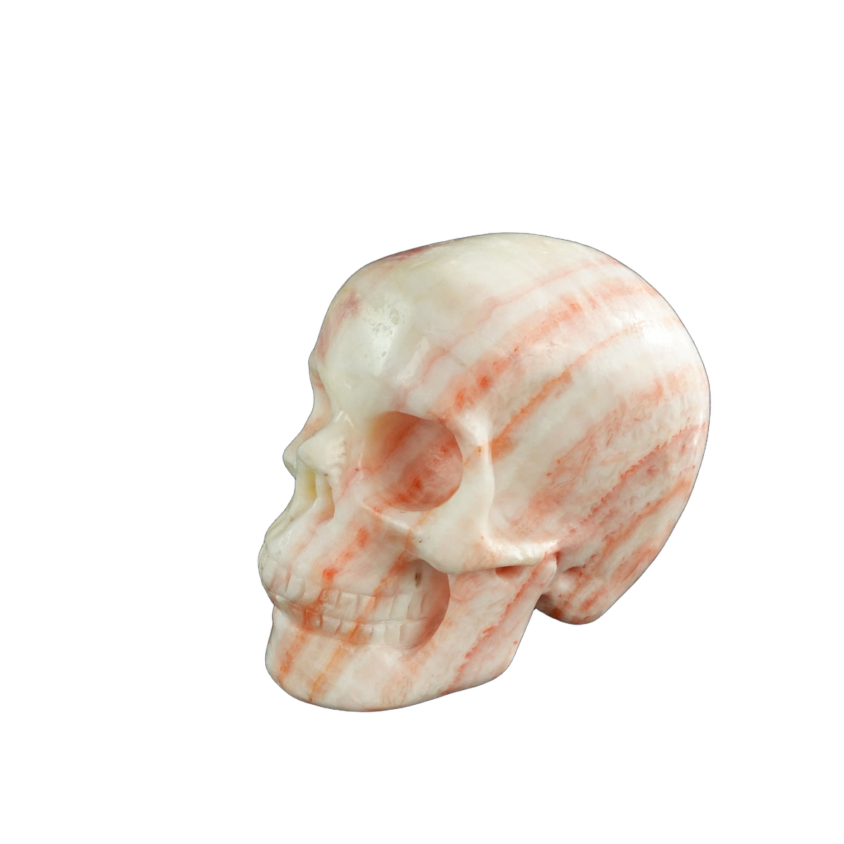 3.0" Zebra Jasper Crystal Skull Carving - Unique Piece #ZS01