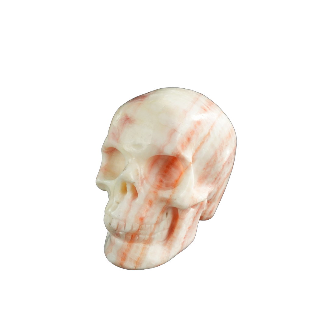 3.0" Zebra Jasper Crystal Skull Carving - Unique Piece #ZS01