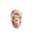 3.0" Zebra Jasper Crystal Skull Carving - Unique Piece #ZS02