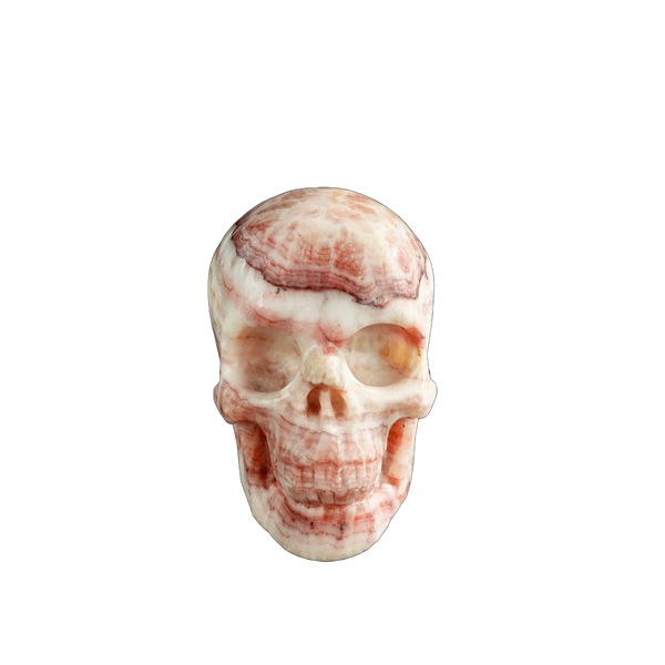 3.0" Zebra Jasper Crystal Skull Carving - Unique Piece #ZS02