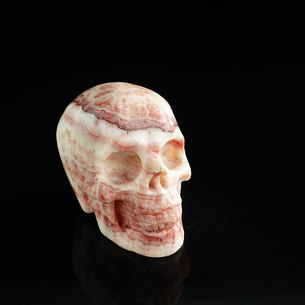 3.0" Zebra Jasper Crystal Skull Carving - Unique Piece #ZS02 - alternate view
