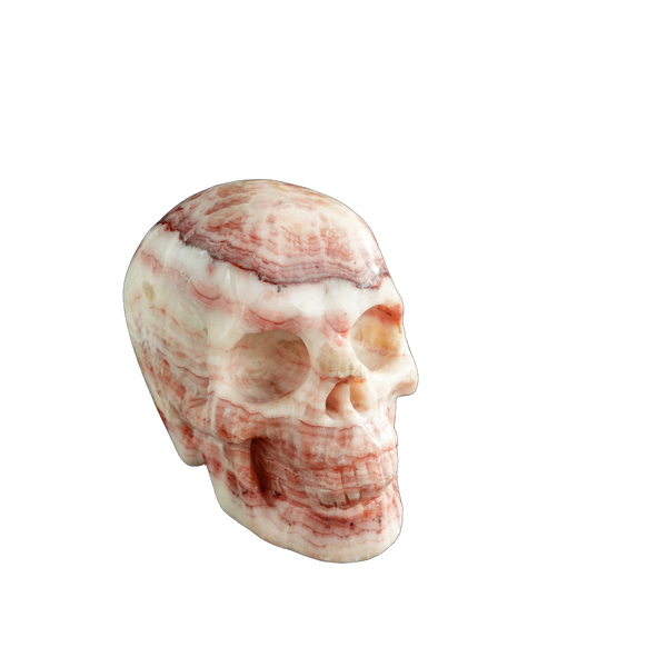 3.0" Zebra Jasper Crystal Skull Carving - Unique Piece #ZS02 - alternate view