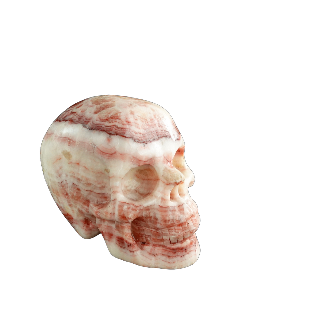 3.0" Zebra Jasper Crystal Skull Carving - Unique Piece #ZS02
