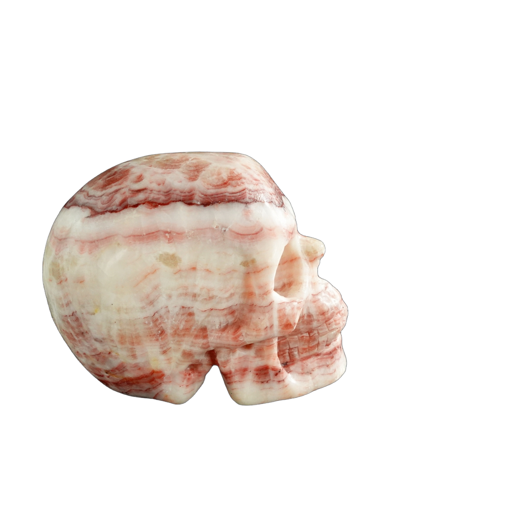 3.0" Zebra Jasper Crystal Skull Carving - Unique Piece #ZS02