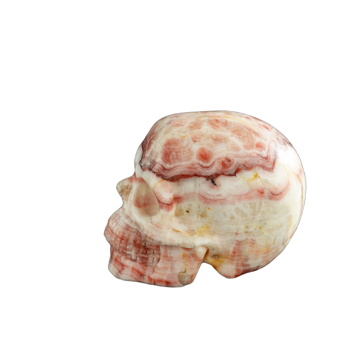 3.0" Zebra Jasper Crystal Skull Carving - Unique Piece #ZS02