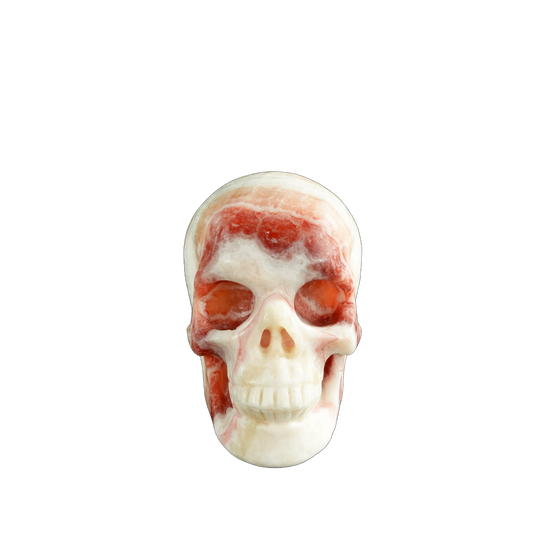 3.0" Zebra Jasper Crystal Skull Carving - Unique Piece #ZS03