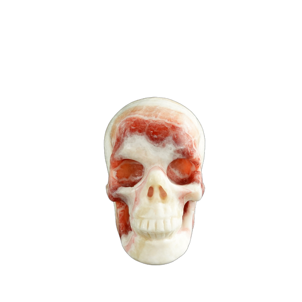 3.0" Zebra Jasper Crystal Skull Carving - Unique Piece #ZS03