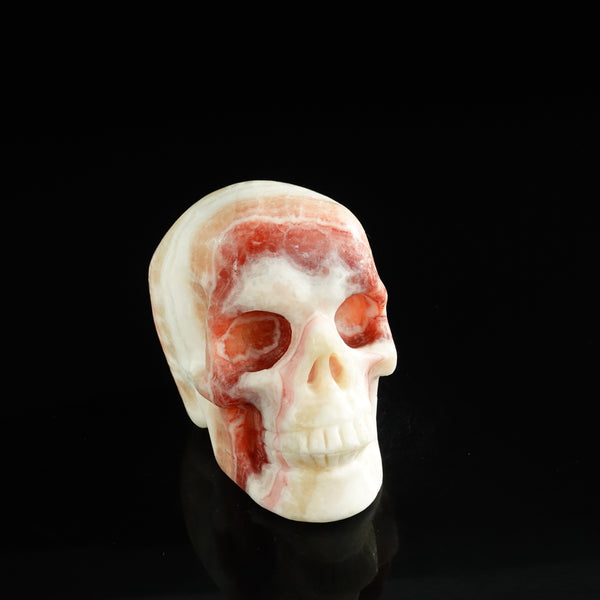 3.0" Zebra Jasper Crystal Skull Carving - Unique Piece #ZS03 - alternate view