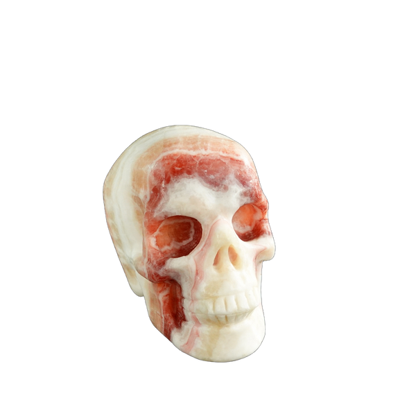 3.0" Zebra Jasper Crystal Skull Carving - Unique Piece #ZS03 - alternate view