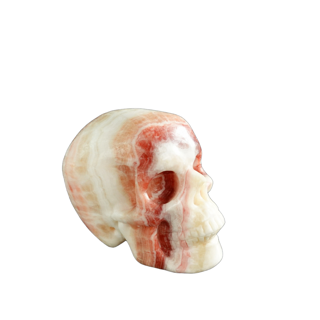 3.0" Zebra Jasper Crystal Skull Carving - Unique Piece #ZS03
