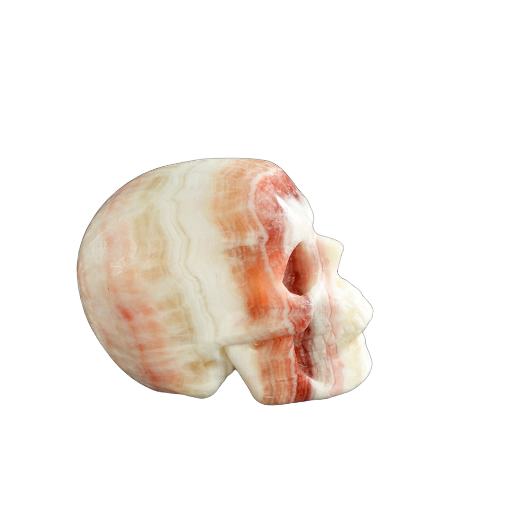3.0" Zebra Jasper Crystal Skull Carving - Unique Piece #ZS03