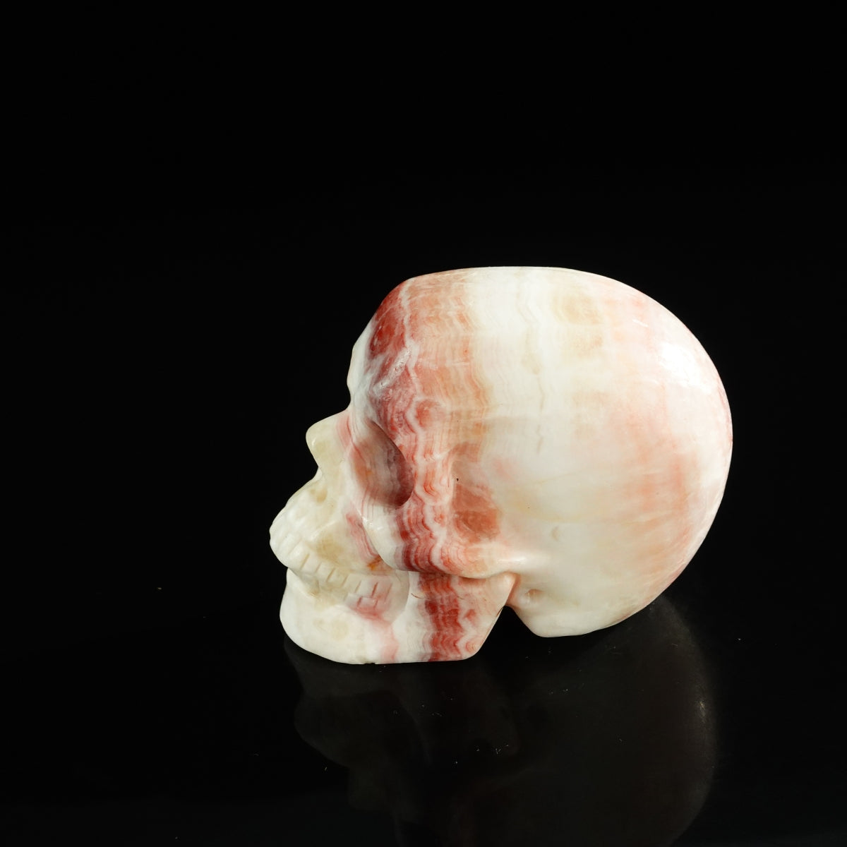 3.0" Zebra Jasper Crystal Skull Carving - Unique Piece #ZS03