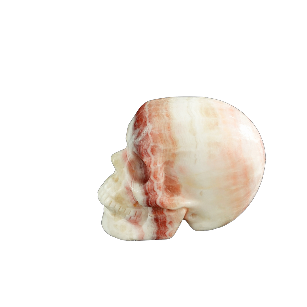 3.0" Zebra Jasper Crystal Skull Carving - Unique Piece #ZS03