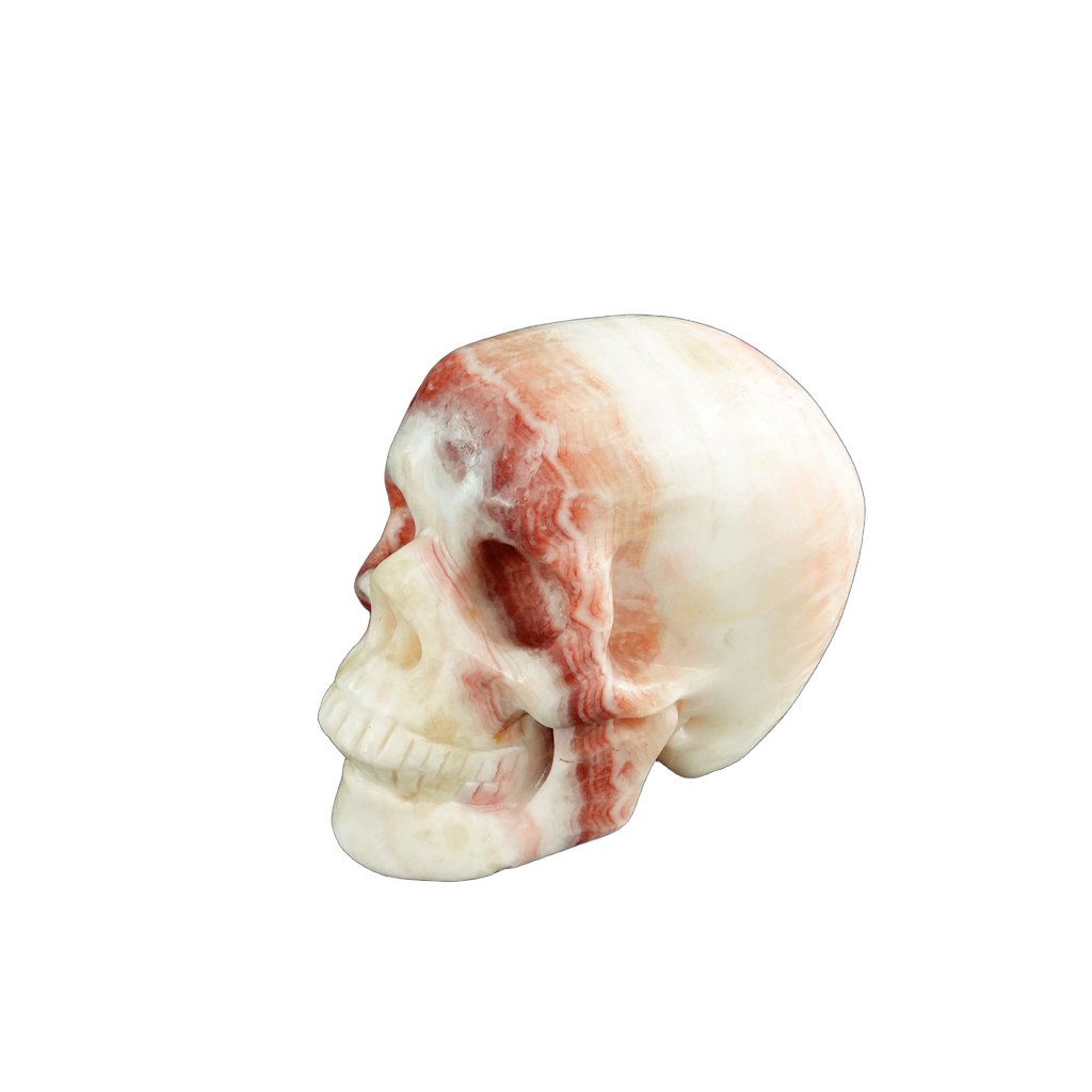 3.0" Zebra Jasper Crystal Skull Carving - Unique Piece #ZS03
