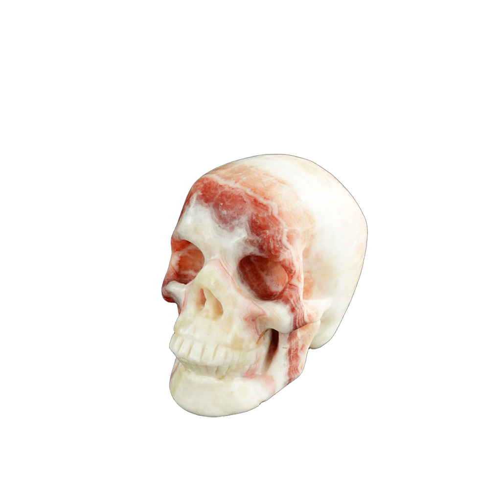 3.0" Zebra Jasper Crystal Skull Carving - Unique Piece #ZS03