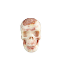 3.0" Zebra Jasper Crystal Skull Carving - Unique Piece #ZS04