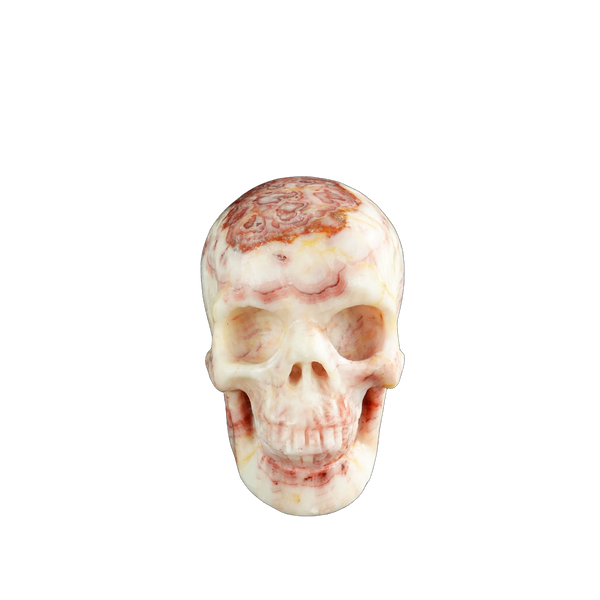 3.0" Zebra Jasper Crystal Skull Carving - Unique Piece #ZS04