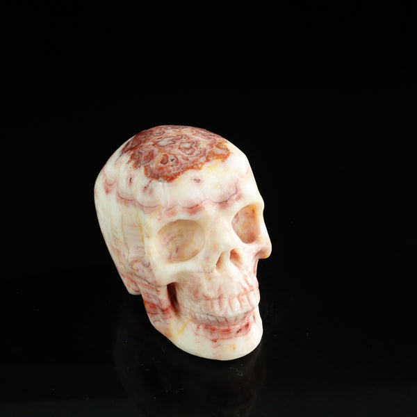 3.0" Zebra Jasper Crystal Skull Carving - Unique Piece #ZS04 - alternate view