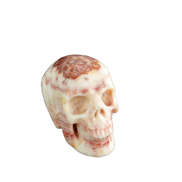 3.0" Zebra Jasper Crystal Skull Carving - Unique Piece #ZS04 - alternate view