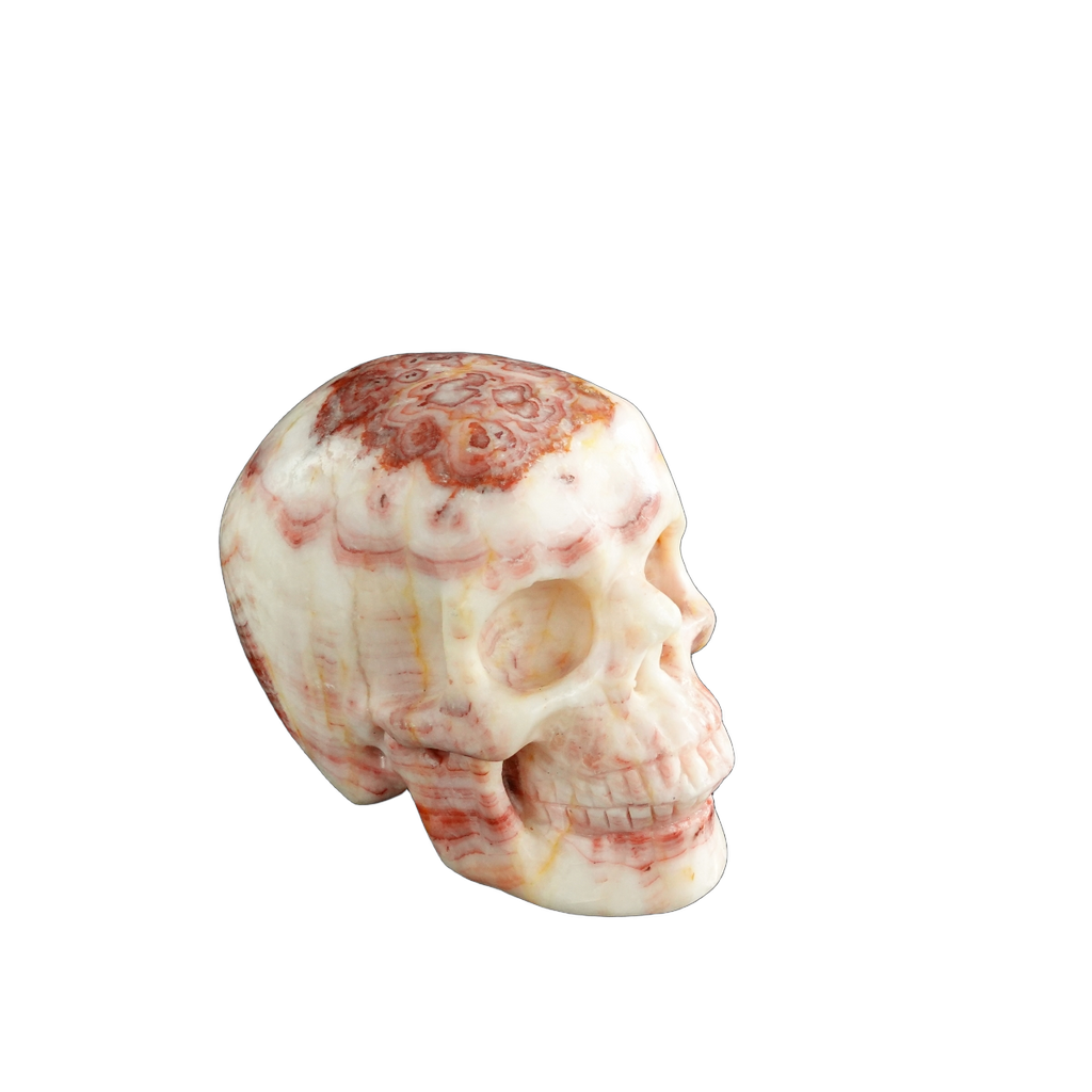 3.0" Zebra Jasper Crystal Skull Carving - Unique Piece #ZS04