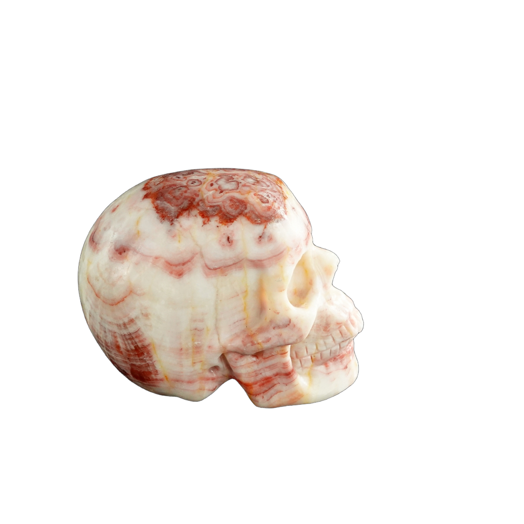 3.0" Zebra Jasper Crystal Skull Carving - Unique Piece #ZS04
