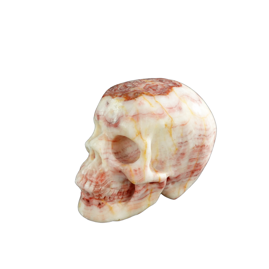 3.0" Zebra Jasper Crystal Skull Carving - Unique Piece #ZS04