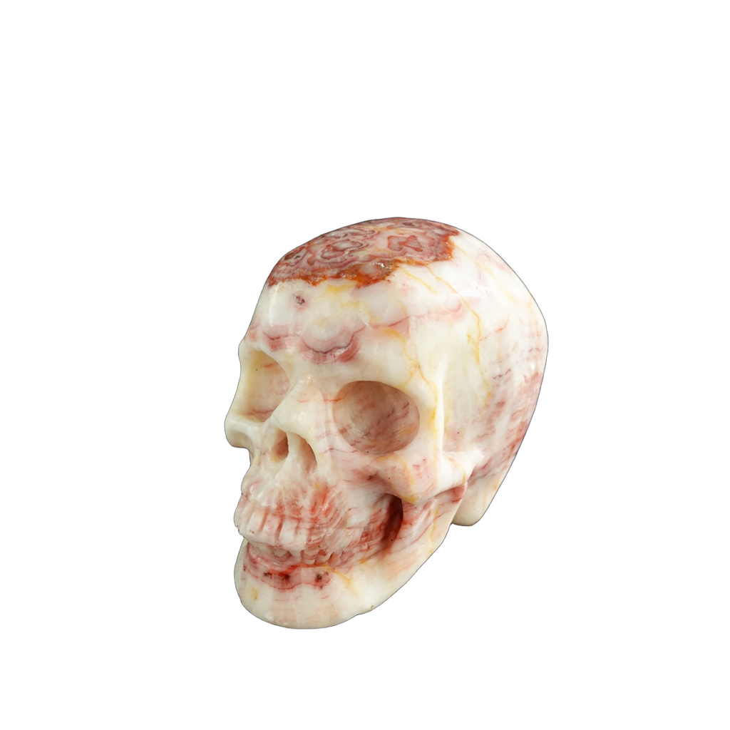 3.0" Zebra Jasper Crystal Skull Carving - Unique Piece #ZS04