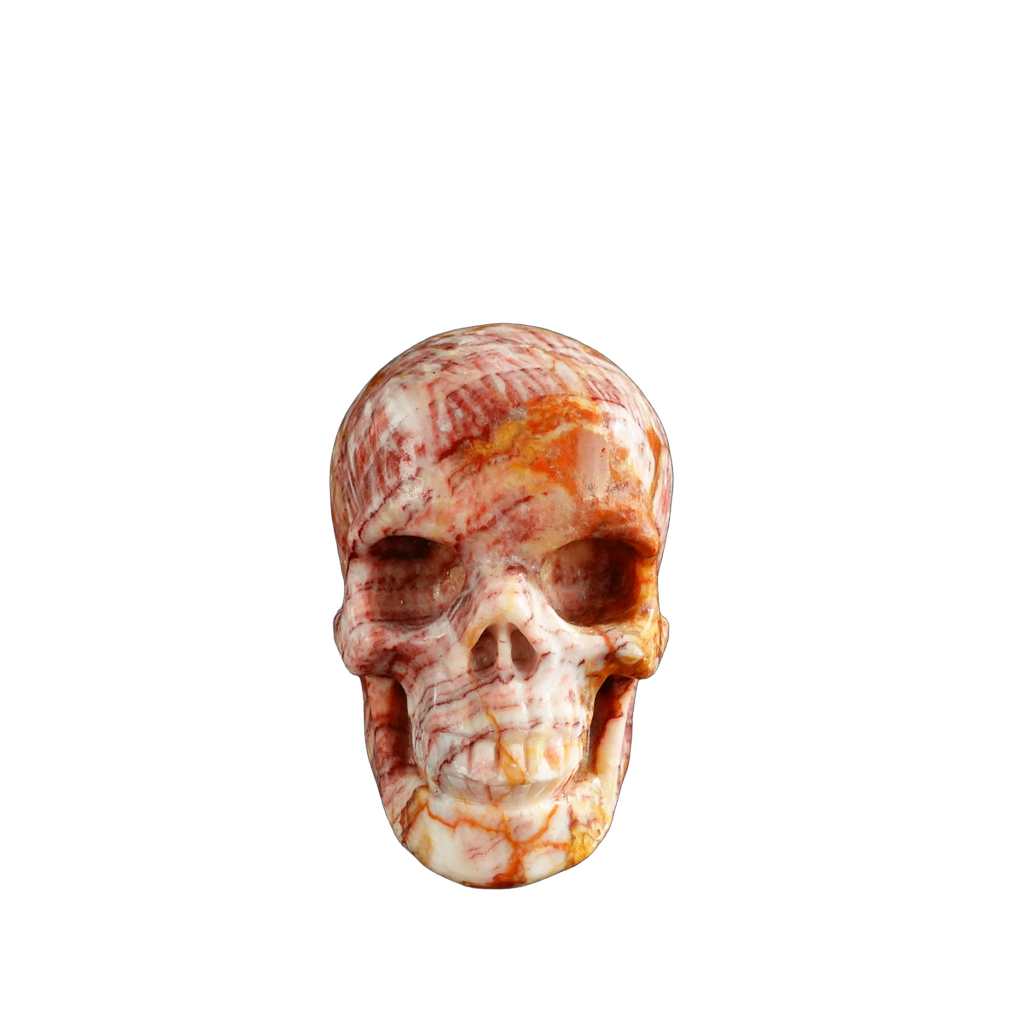 3.0" Zebra Jasper Crystal Skull Carving - Unique Piece #ZS05